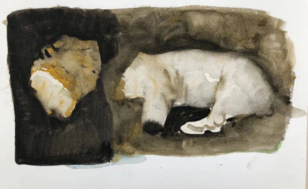 李明昌 :猎木仓式的绘画