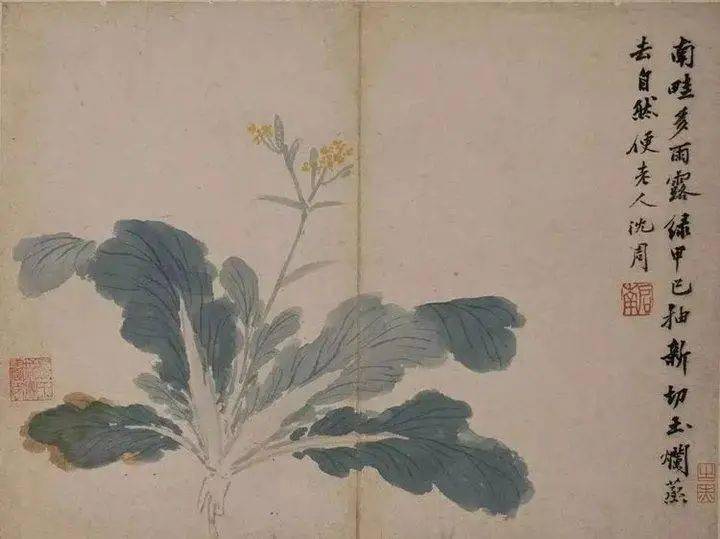 沈周的绘画思想,不盲从古人