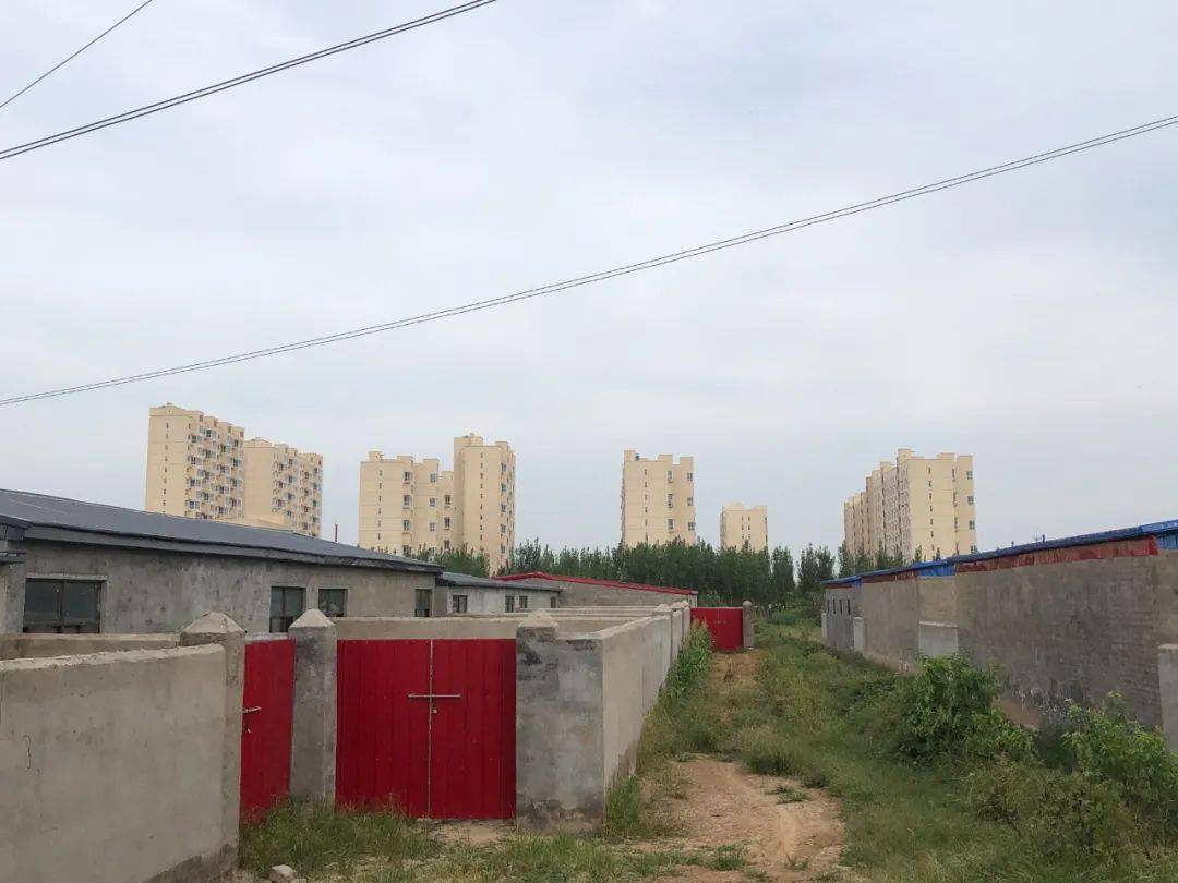 摄影