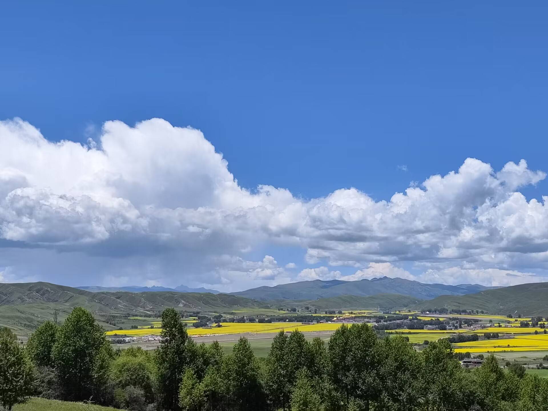 【萌喵】【转】退休还乡,不要总盯着“宅基地”