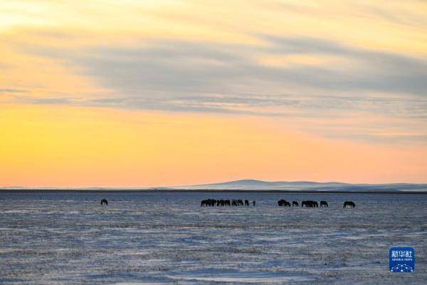 【转】锡林郭勒草原冬日美景