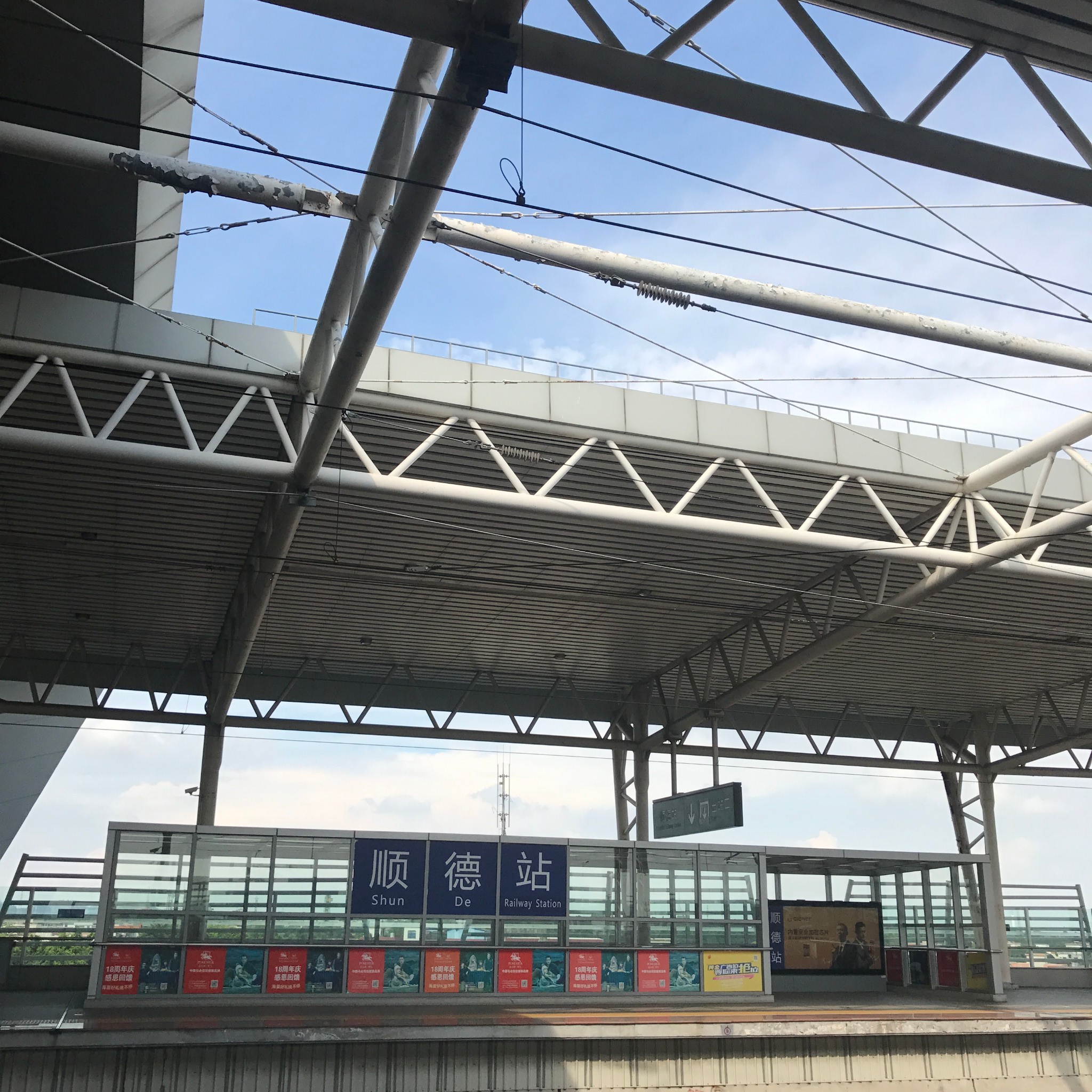 “你去广州做乜嘢?当然是食到呕啊”#广州顺德吃到扑街记#