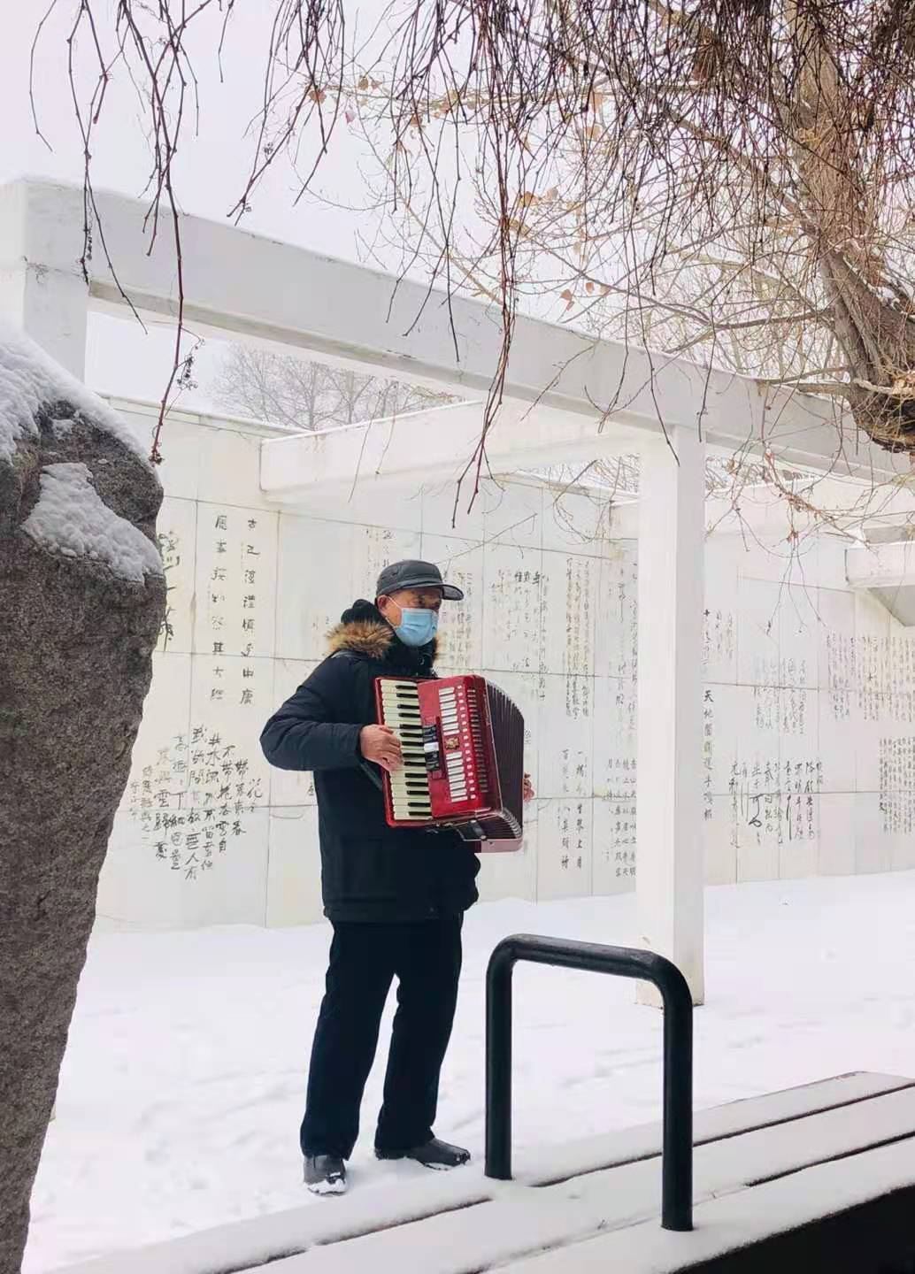 今日最美是冬雪(随笔)