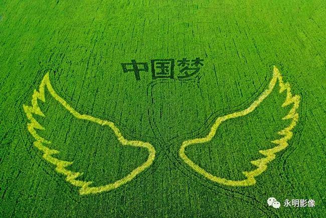 【影像展厅】永明影像摄影俱乐部会员作品展(3)