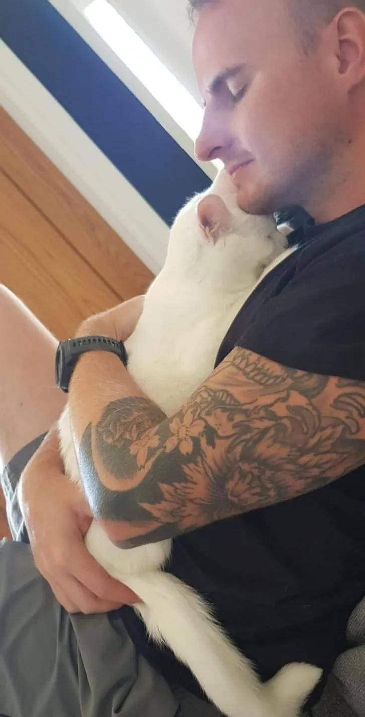 一组可爱温暖的猫咪图片:原来猫咪远比我们想象中的更依赖主人