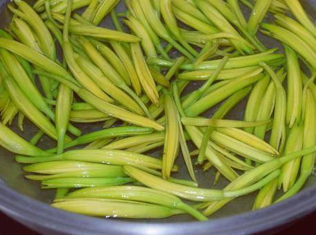 6月遇到我从不手软的菜,季节性太强了,炒鸡蛋特鲜,贵也值得