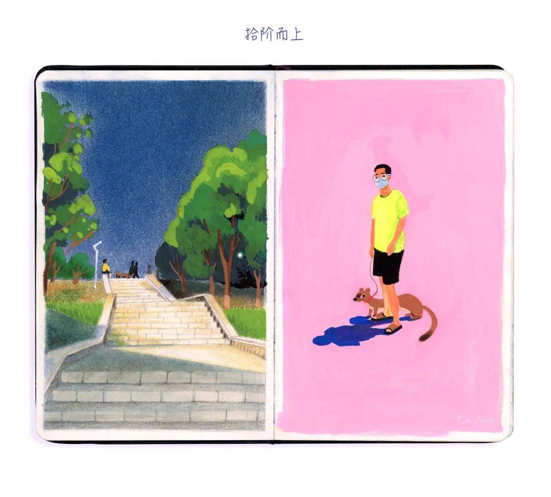 诺米作品 | 流萤:绘画“日记”本