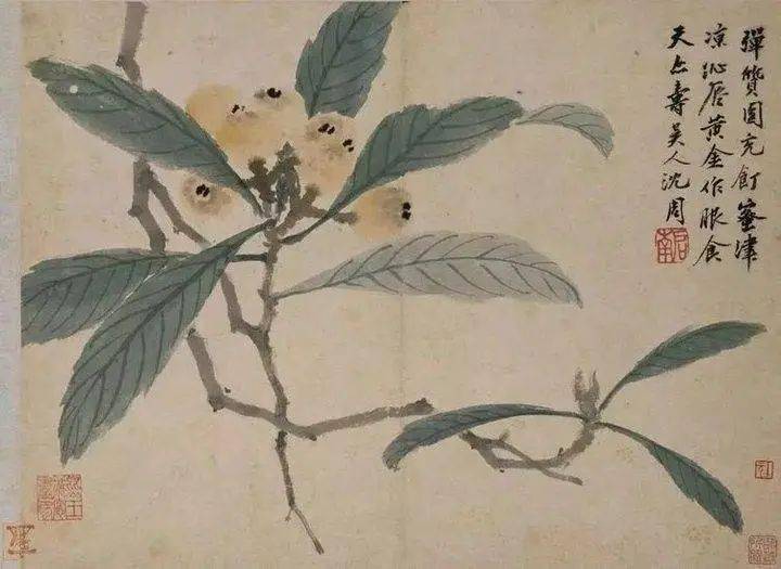 沈周的绘画思想,不盲从古人