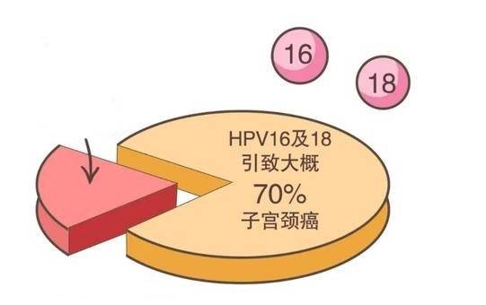 【花资】【转】孕期HPV找上门,会影响胎儿吗?