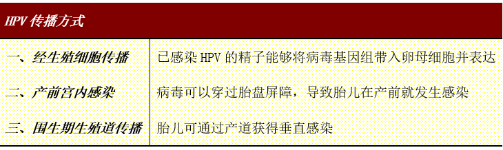 【花资】【转】孕期HPV找上门,会影响胎儿吗?