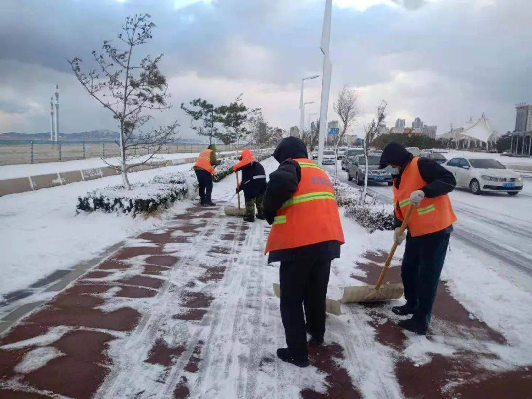 一场大雪,让烟台美翻全国