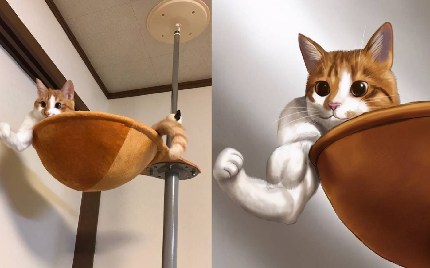 当现实动物被二次元化,“猛男”狗力感十足,猫咪是可爱的化身