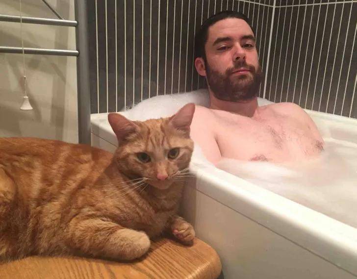 一组可爱温暖的猫咪图片:原来猫咪远比我们想象中的更依赖主人
