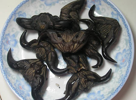 【转载】中秋节 | 除了月饼,宝宝中秋佳节还能吃啥?