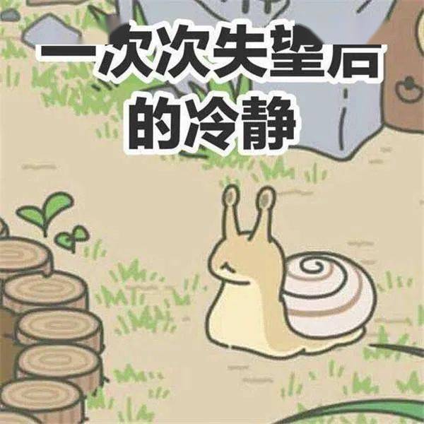 我赌每个中国小孩都养过这些奇葩宠物