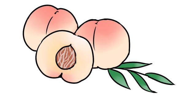 立秋|暑不曾远去,而秋已立来