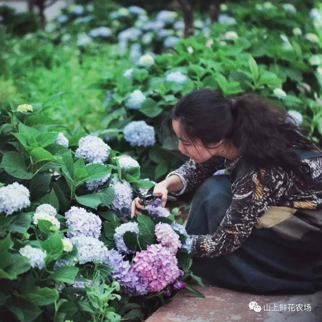 她花3年时间,把垃圾场改造成鲜花农场,亲手种菜给孩子吃!