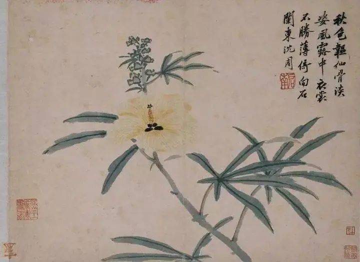 沈周的绘画思想,不盲从古人