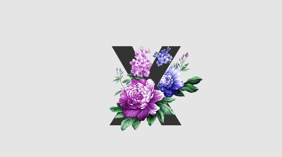 26个字母,26句话,每一句都值得你用一生品读……