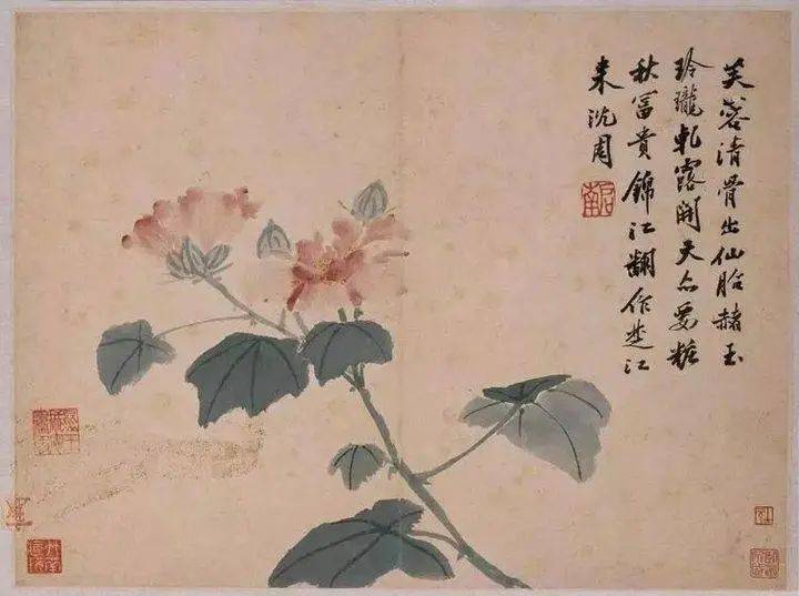 沈周的绘画思想,不盲从古人