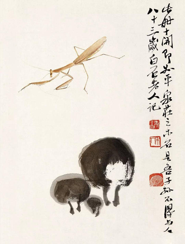 少白汤发周分享:都说齐白石画的虾好,其实他画的草虫比画的虾还要好