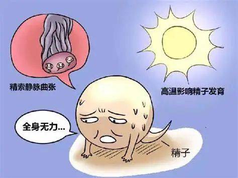 【花资】【转】不孕症要做哪些检查?了解这些接“好孕”