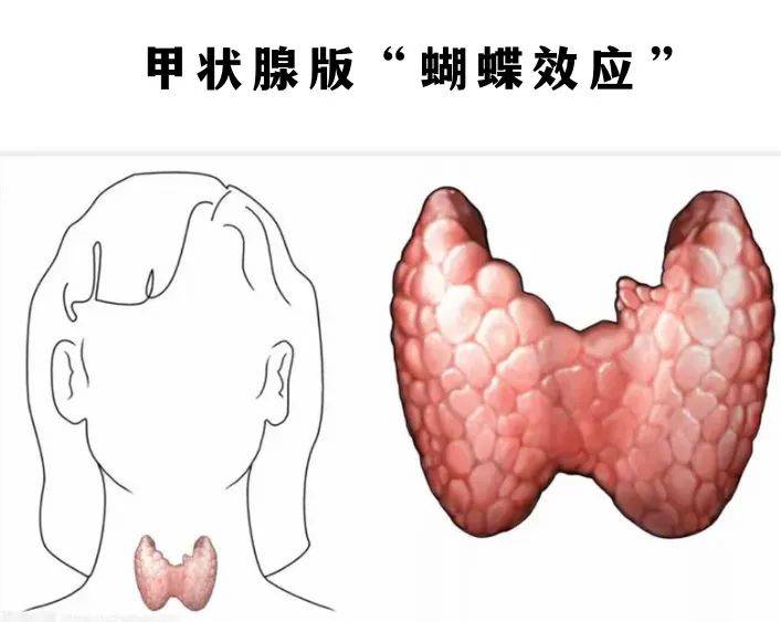 【花资】【转】不孕症要做哪些检查?了解这些接“好孕”