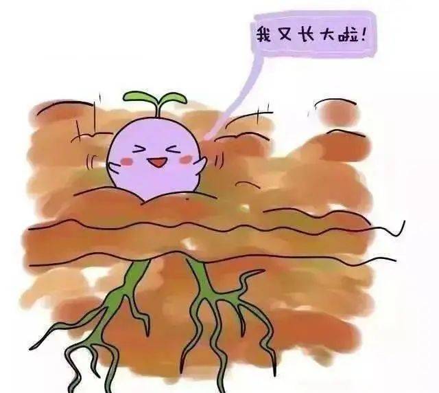 【花资】【转】不孕症要做哪些检查?了解这些接“好孕”