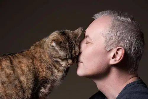 猫咪能感受到主人的不开心吗