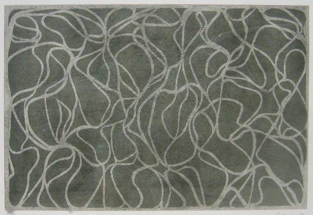 布莱斯·马登(Brice Marden):绘画是纯粹的诗