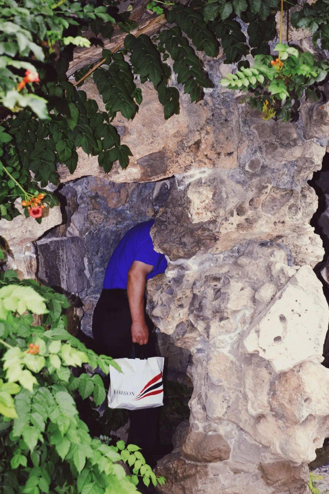 摄影