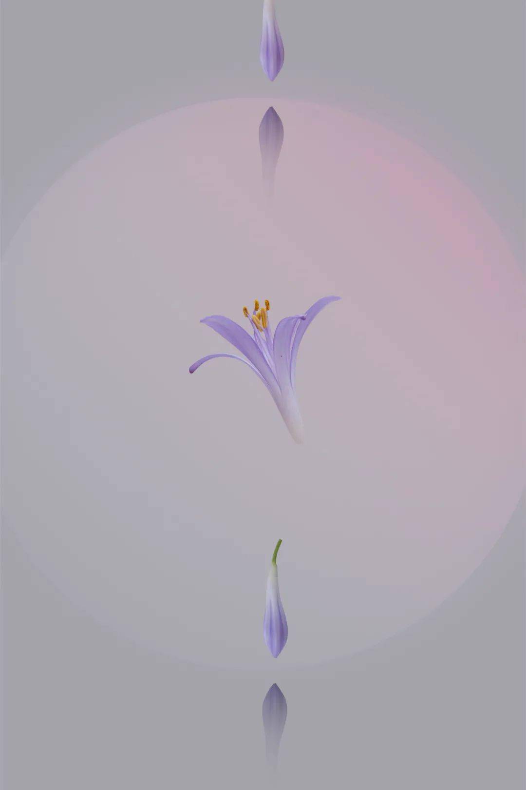 摄影