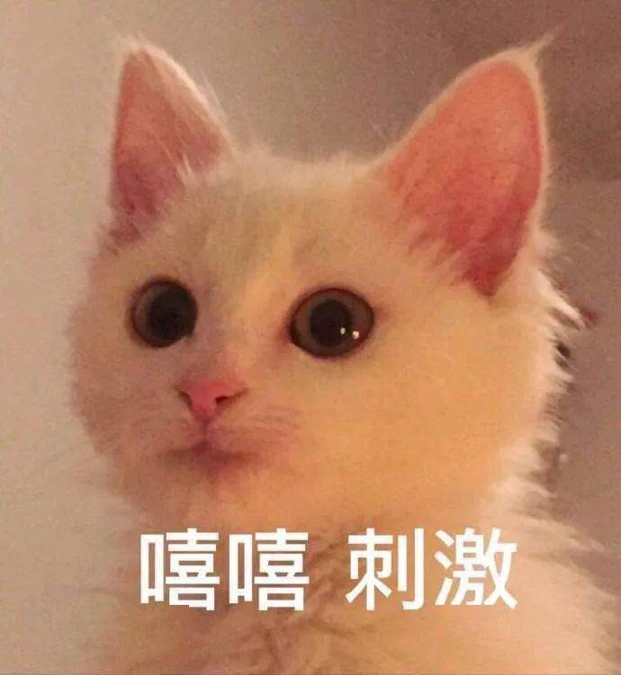 “胆小者勿入”丨那些年玩弄恐惧的我们