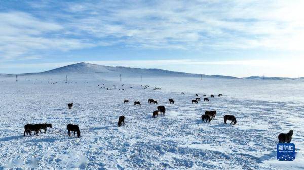 【转】锡林郭勒草原冬日美景