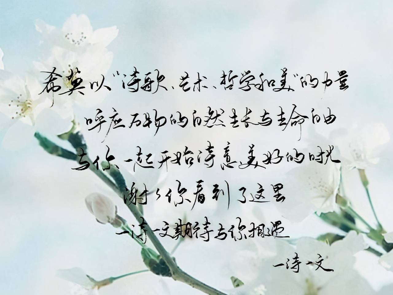 看人间万家灯火,遥望诗和远方