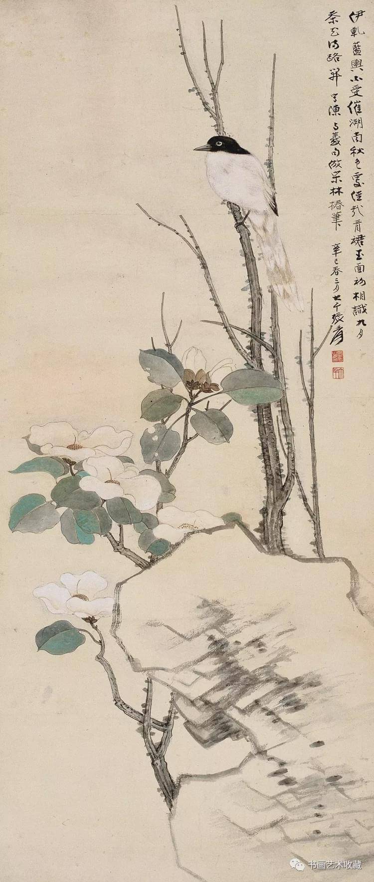 国画欣赏:张大千 花鸟作品选
