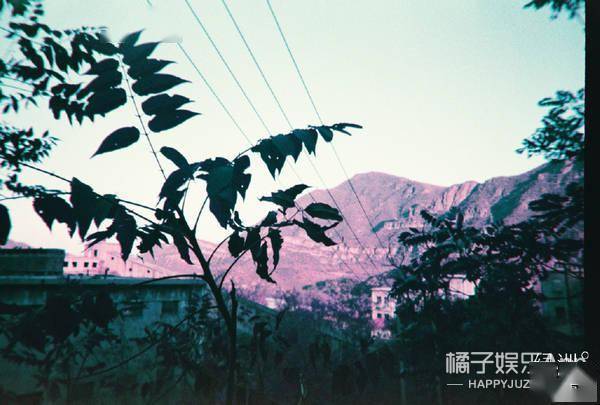 “处处留情”的后果?丁禹兮端水人设翻车,亲粉丝祝他早日糊?