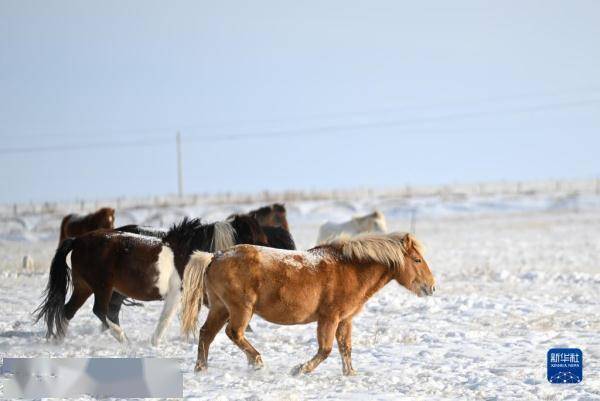 【转】锡林郭勒草原冬日美景