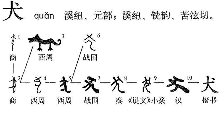 汉字中的犬和狗有什么区别?为什么自谦用“犬”,骂人用“狗”?