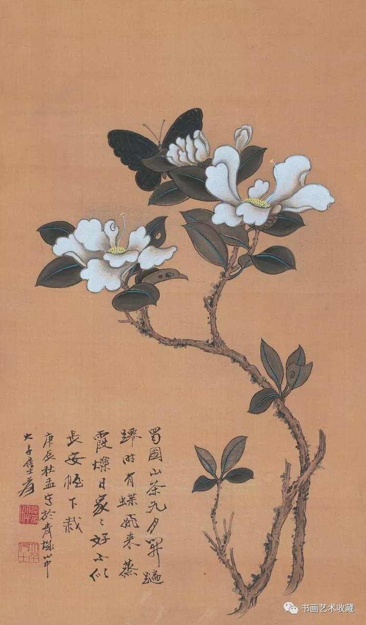国画欣赏:张大千 花鸟作品选
