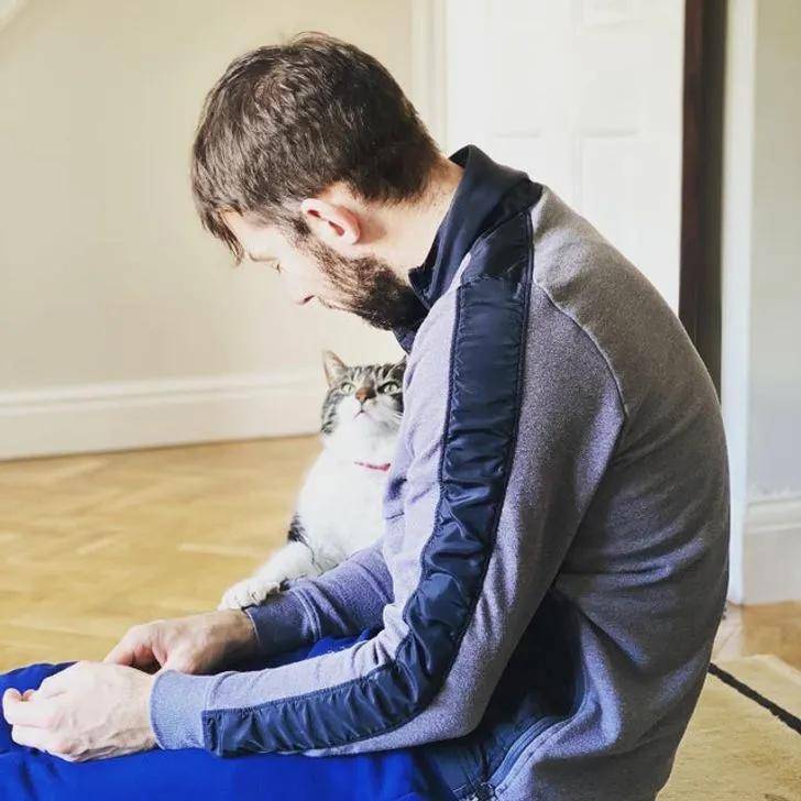 一组可爱温暖的猫咪图片:原来猫咪远比我们想象中的更依赖主人