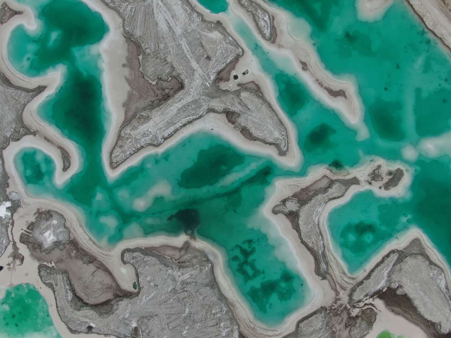 穿越大西北:探寻黄沙中的石窟与自然之美