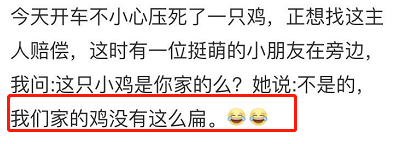 我赌每个中国小孩都养过这些奇葩宠物