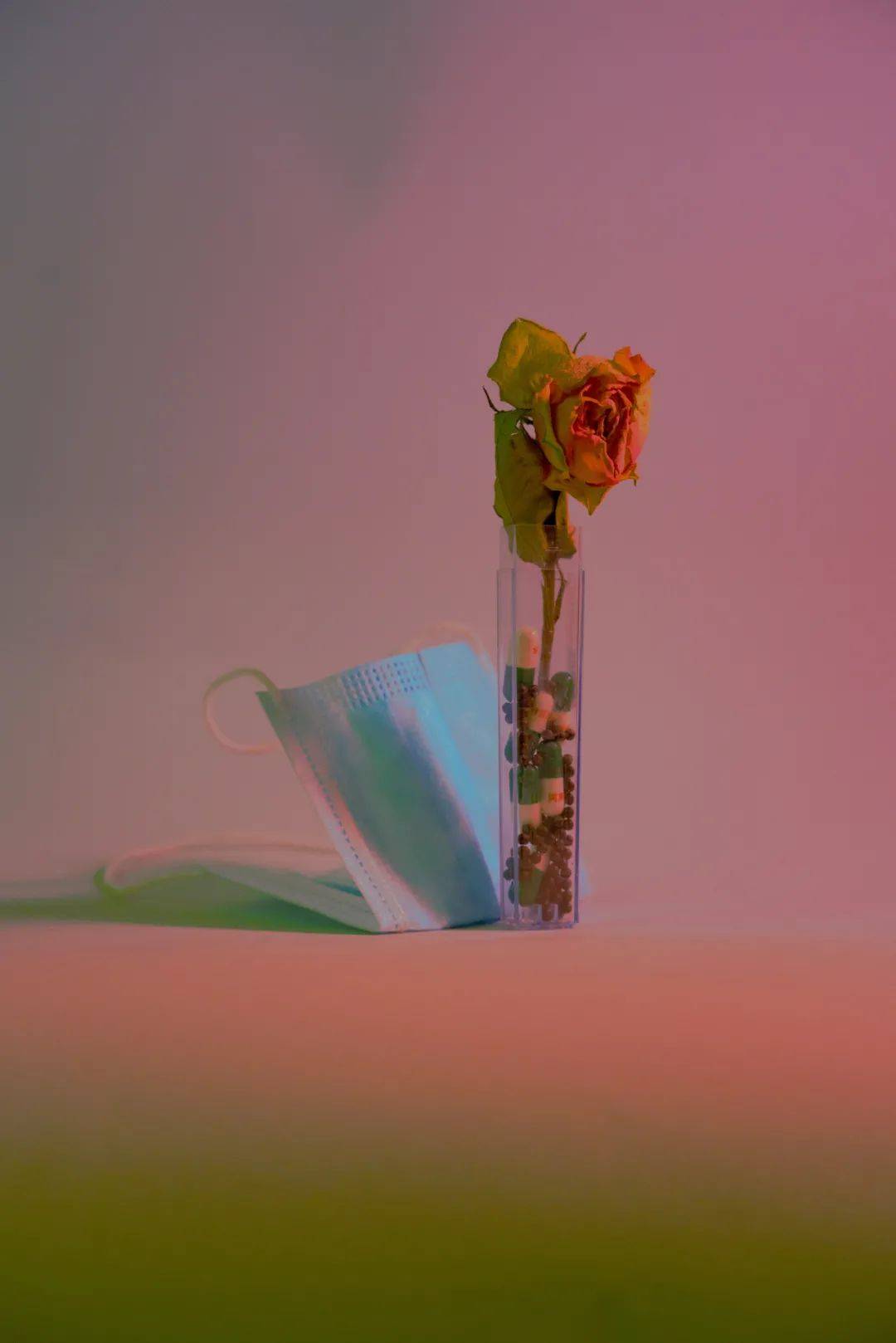 2021年,第一辑摄影