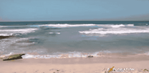 什么是离岸流?危险吗?