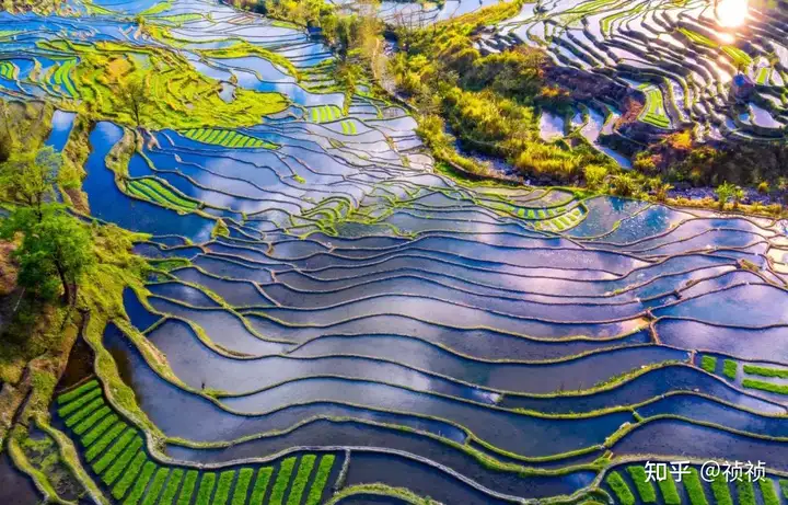 【转】元阳梯田,从春夏美到秋冬!