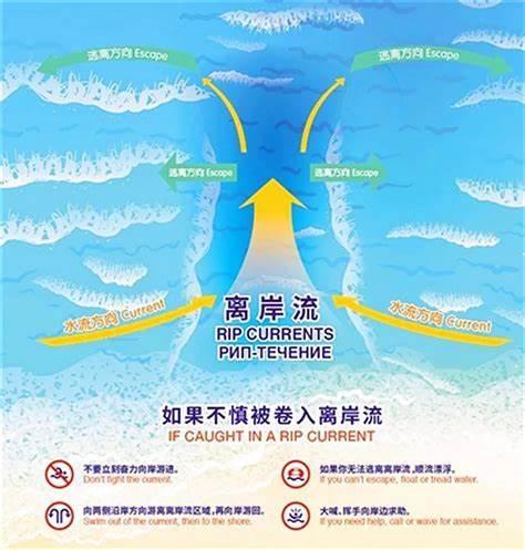 什么是离岸流?危险吗?