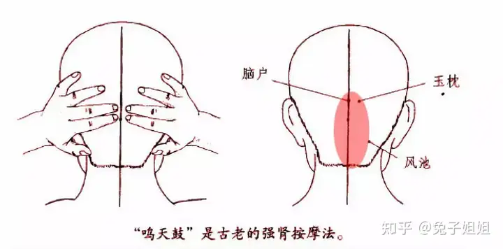 【萌喵】【转】长期熬夜怎么补?