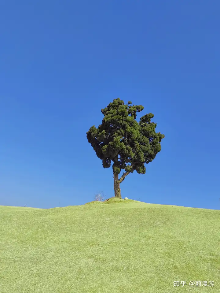 【转】第一次去青岛必看的旅游指南