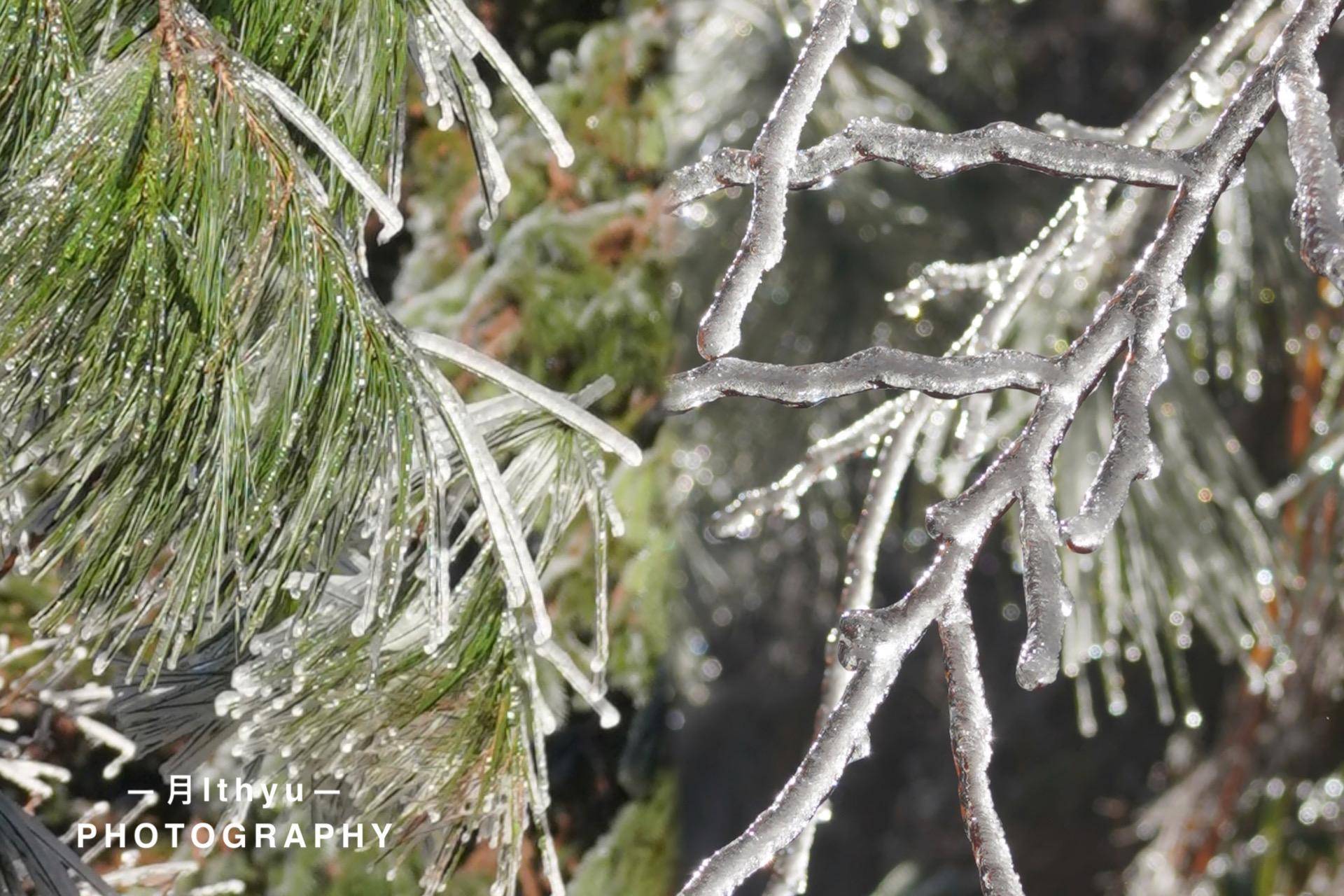 【转】福建也有雪!探索本地冰雪美景的秘密